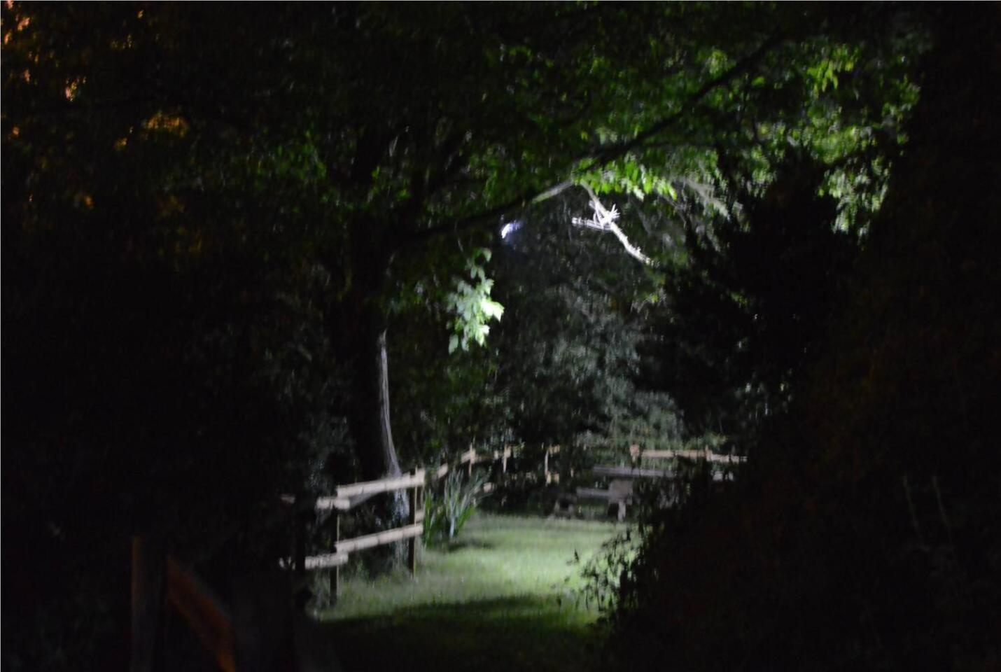 El Cajigar Ordesa Ainsa Casa Rural Laspuna Bagian luar foto